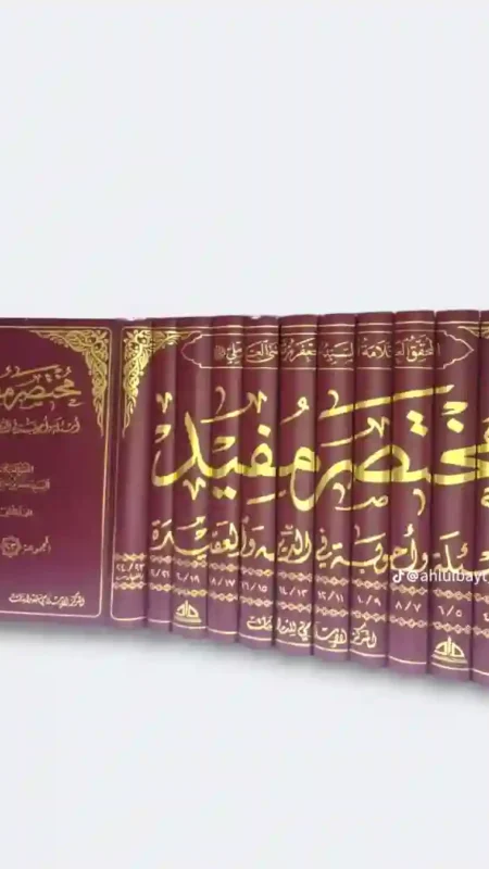 مختصر مفيد: السيد جعفر مرتضى العاملي