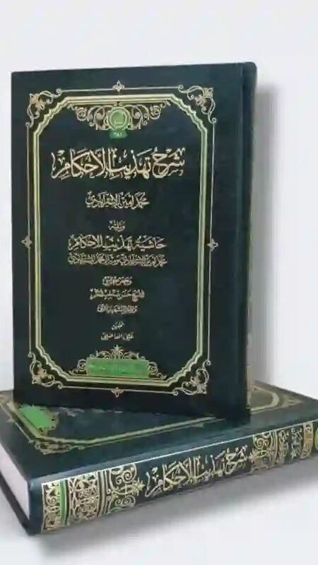 شرح تهذيب الاحكام و تليه حاشية تهذيب الاحكام/ محمد امين الاسترآبادي ، و ميرزا محمد الاسترآبادي